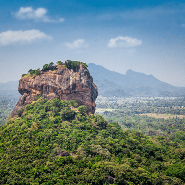 SRI LANKA - Imagen 7