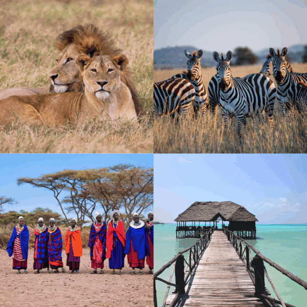 TANZANIA Y ZANZIBAR