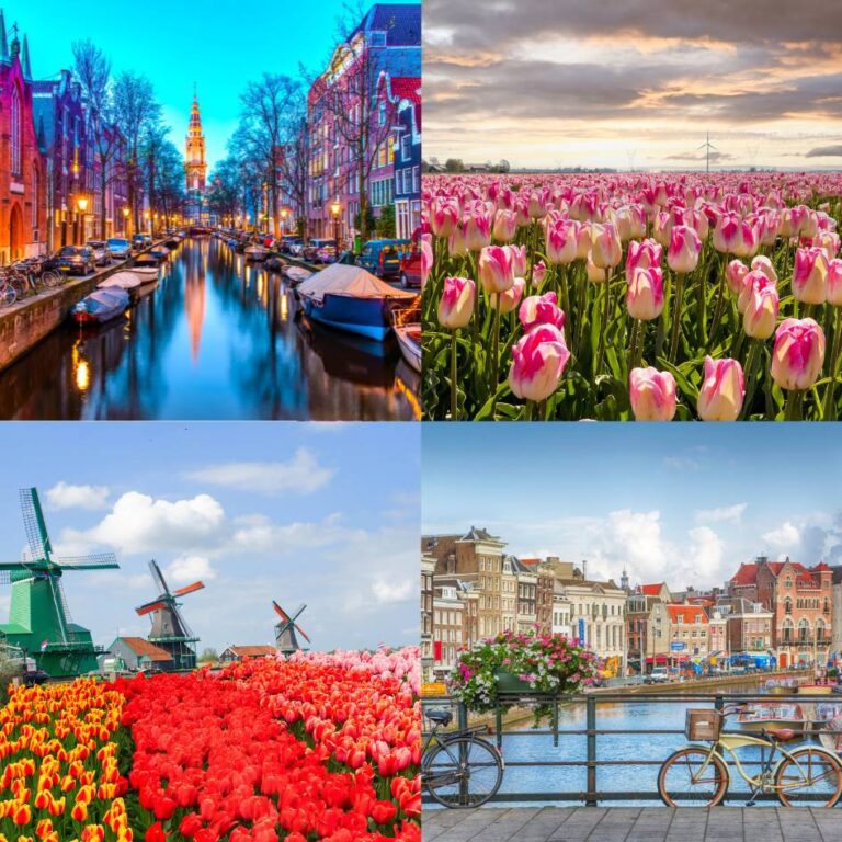 HOLANDA - TIEMPO DE TULIPANES