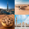 DUBAI Y ABU DHABI