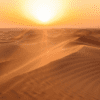 DUBAI Y ABU DHABI - Imagen 5