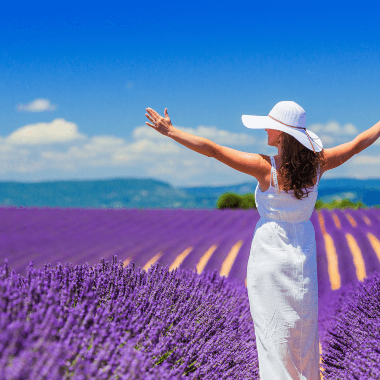 LA PROVENZA CON AROMA DE LAVANDA