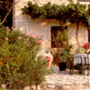 LA PROVENZA CON AROMA DE LAVANDA - Imagen 4