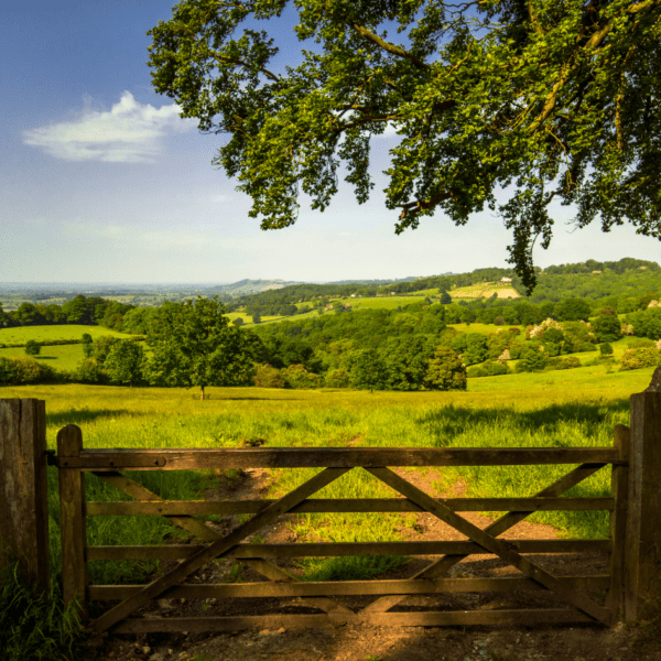 COTSWOLDS- LA INGLATERRA PINTORESCA - Imagen 5