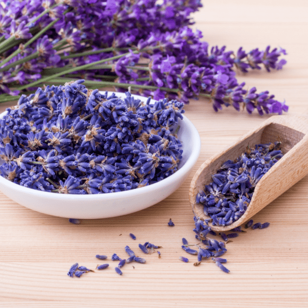 ESCAPADA SENSORIAL A BRIHUEGA : Lavanda, lujo y conexión interior 💜 - Imagen 2