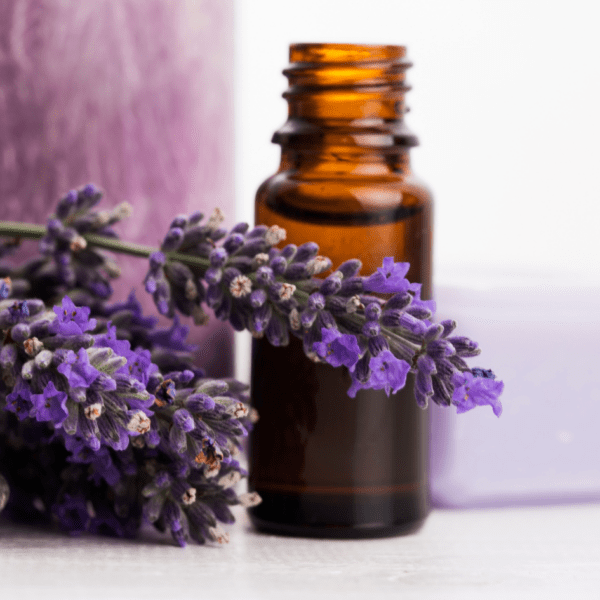 ESCAPADA SENSORIAL A BRIHUEGA : Lavanda, lujo y conexión interior 💜 - Imagen 4