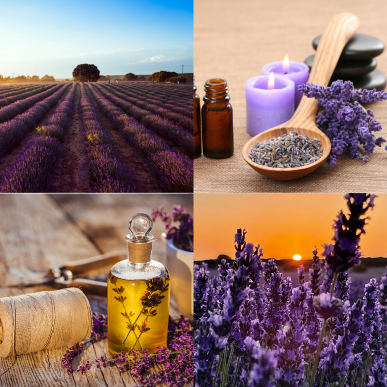 ESCAPADA SENSORIAL A BRIHUEGA : Lavanda, lujo y conexión interior 💜