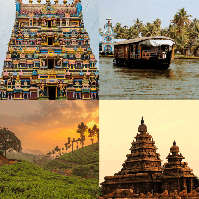 INDIA DEL SUR DE TAMIL NADU A KERALA, entre templos, montañas de té y remansos sagrados