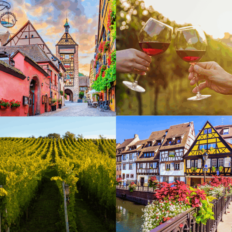 ALSACIA ENTRE VIÑEDOS
