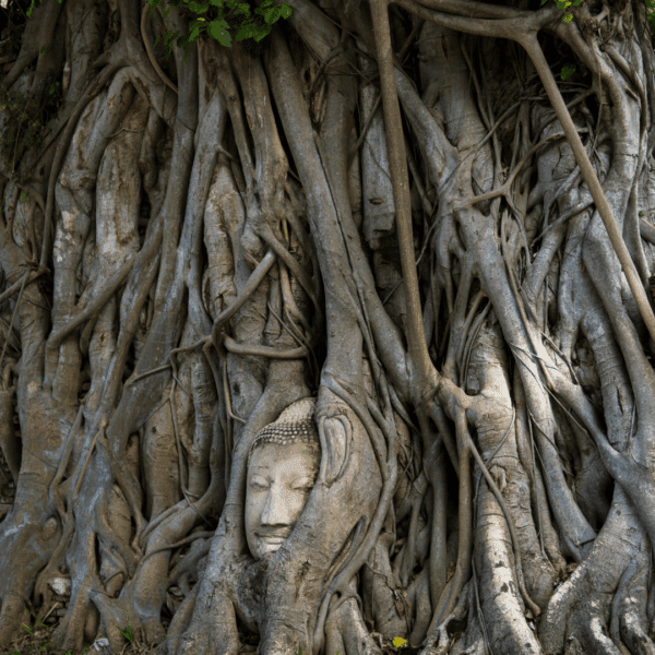 TAILANDIA, EL REINO DE LAS SONRISAS - Imagen 7
