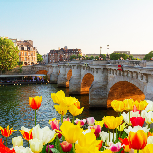 PARÍS - EL CORAZÓN ELEGANTE DE EUROPA - Imagen 8