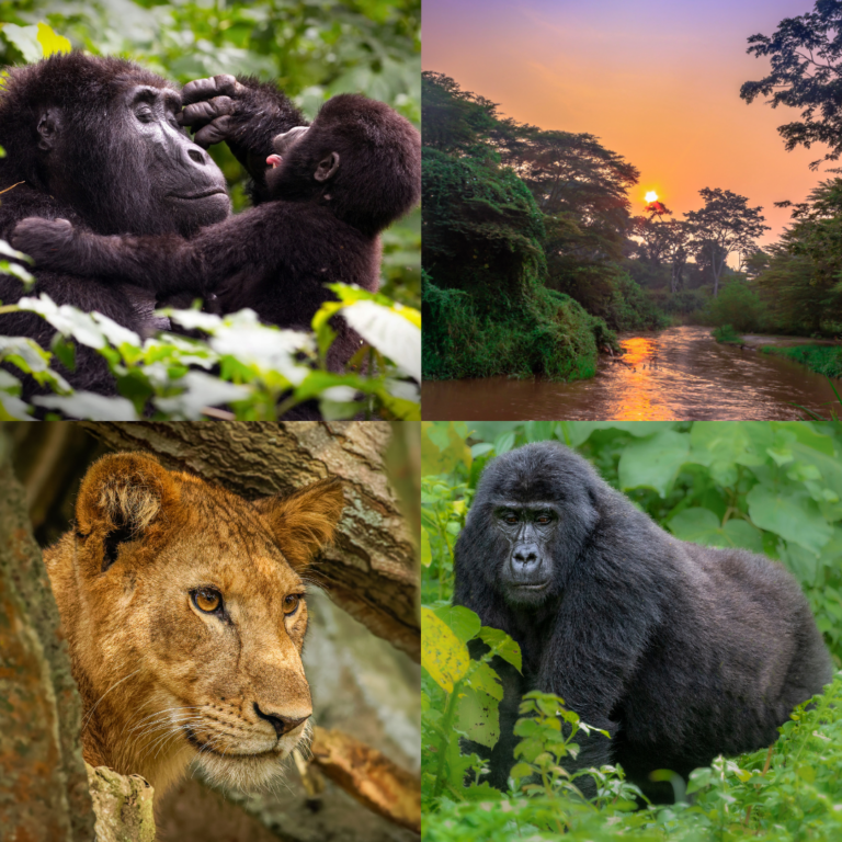 UGANDA, EL CORAZÓN DE ÁFRICA