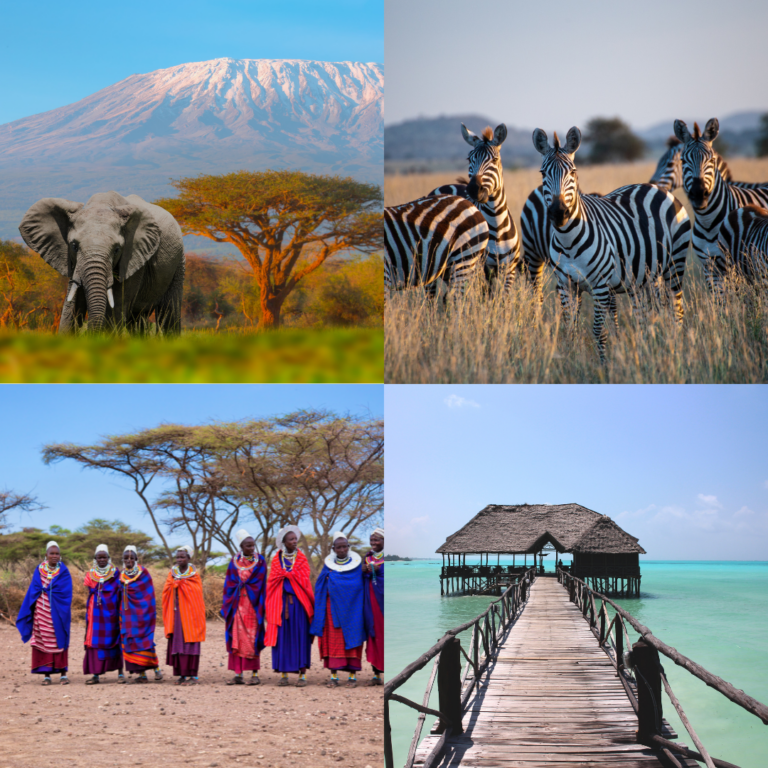 TANZANIA 2027